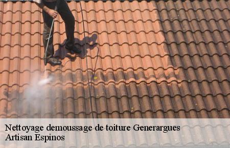 Nettoyage demoussage de toiture  generargues-30140 Artisan Espinos