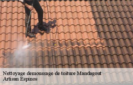 Nettoyage demoussage de toiture  mandagout-30120 Artisan Espinos