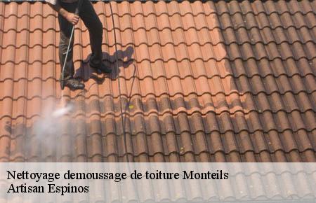 Nettoyage demoussage de toiture  monteils-30360 Artisan Espinos