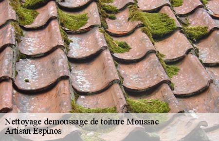 Nettoyage demoussage de toiture  moussac-30190 FJ Rénovation Couverture