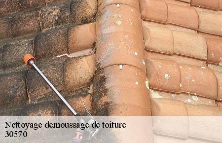 Nettoyage demoussage de toiture  notre-dame-de-la-rouviere-30570 Artisan Espinos
