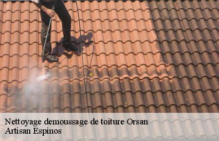 Nettoyage demoussage de toiture  orsan-30200 Artisan Espinos