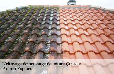 Nettoyage demoussage de toiture  quissac-30260 Artisan Espinos