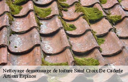 Nettoyage demoussage de toiture  saint-croix-de-caderle-30460 Artisan Espinos