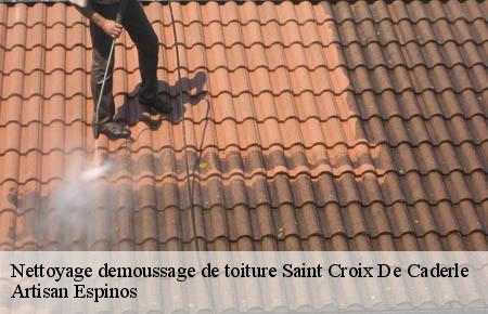 Nettoyage demoussage de toiture  saint-croix-de-caderle-30460 Artisan Espinos