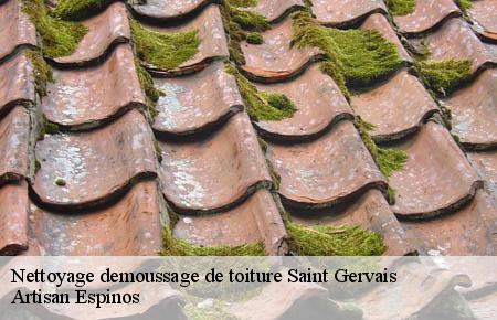 Nettoyage demoussage de toiture  saint-gervais-30200 Artisan Espinos