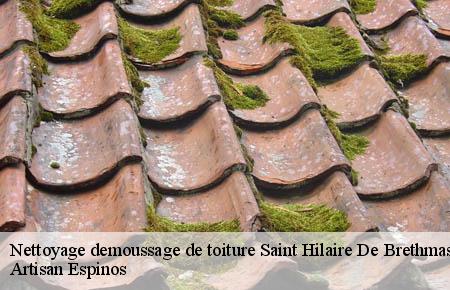 Nettoyage demoussage de toiture  saint-hilaire-de-brethmas-30560 Artisan Espinos