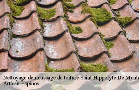 Nettoyage demoussage de toiture  saint-hippolyte-de-montaigu-30700 Artisan Espinos