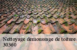 Nettoyage demoussage de toiture  saint-jean-de-ceyrargues-30360 Couvreurs gardois