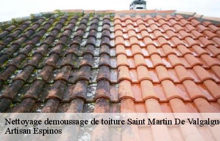 Nettoyage demoussage de toiture  saint-martin-de-valgalgues-30520 Artisan Espinos