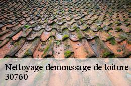 Nettoyage demoussage de toiture  salazac-30760 Couvreurs gardois