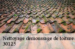 Nettoyage demoussage de toiture  saumane-30125 Couvreurs gardois