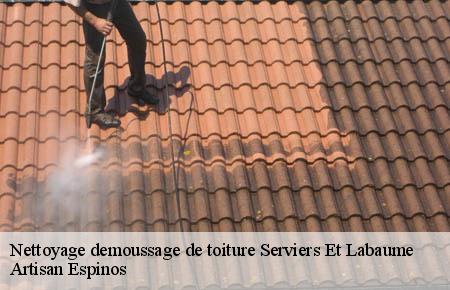 Nettoyage demoussage de toiture  serviers-et-labaume-30700 Artisan Espinos