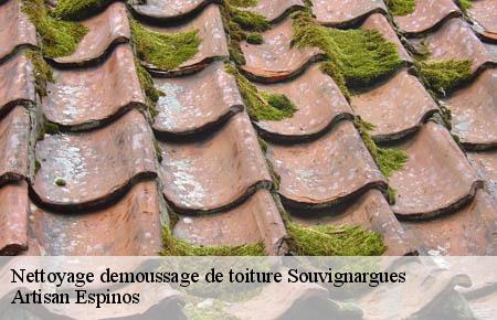 Nettoyage demoussage de toiture  souvignargues-30250 Artisan Espinos