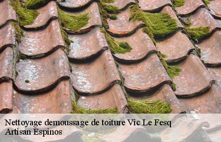 Nettoyage demoussage de toiture  vic-le-fesq-30260 Artisan Espinos