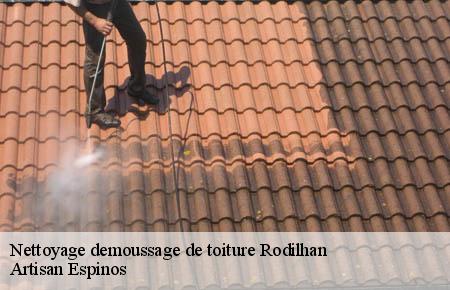 Nettoyage demoussage de toiture  rodilhan-30230 Artisan Espinos