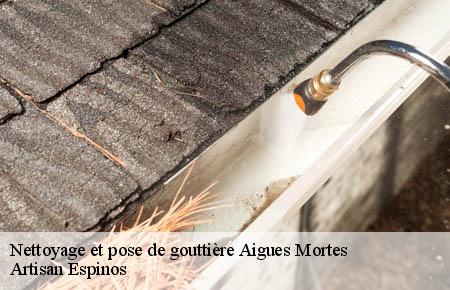 Nettoyage et pose de gouttière  aigues-mortes-30220 Artisan Espinos