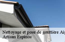 Nettoyage et pose de gouttière  aigues-vives-30670 Artisan Espinos