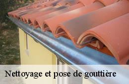 Nettoyage et pose de gouttière  bonnevaux-30450 Artisan Espinos
