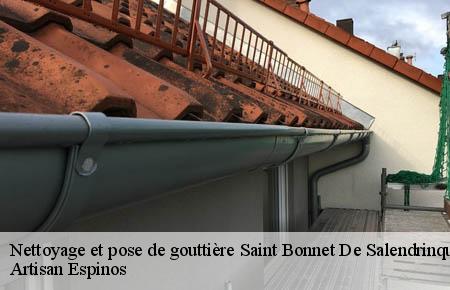 Nettoyage et pose de gouttière  saint-bonnet-de-salendrinque-30460 Artisan Espinos