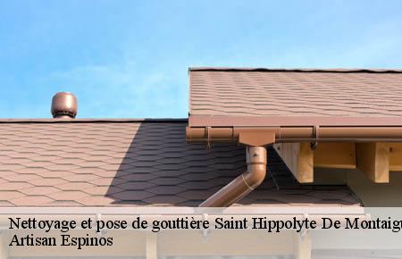 Nettoyage et pose de gouttière  saint-hippolyte-de-montaigu-30700 Artisan Espinos