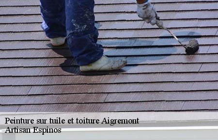 Peinture sur tuile et toiture  aigremont-30350 Artisan Espinos