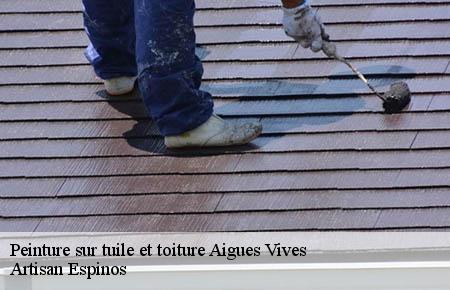 Peinture sur tuile et toiture  aigues-vives-30670 Artisan Espinos