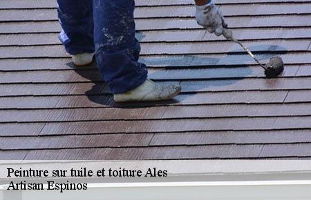 Peinture sur tuile et toiture  ales-30100 Artisan Espinos