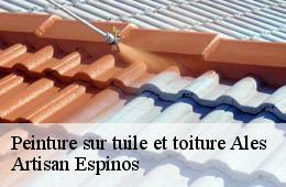 Peinture sur tuile et toiture  ales-30100 Artisan Espinos