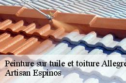 Peinture sur tuile et toiture  allegre-30500 Artisan Espinos