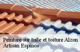 Peinture sur tuile et toiture  alzon-30770 Artisan Espinos