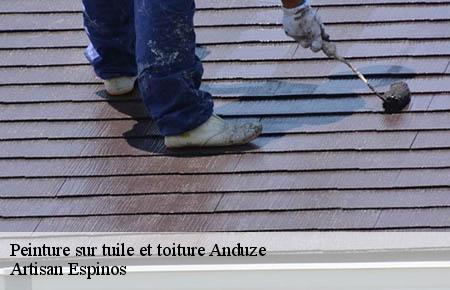 Peinture sur tuile et toiture  anduze-30140 Artisan Espinos