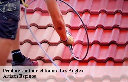 Peinture sur tuile et toiture  les-angles-30133 Artisan Espinos