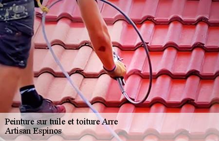 Peinture sur tuile et toiture arre-30120 Artisan Espinos