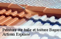 Peinture sur tuile et toiture  bagard-30140 Artisan Espinos