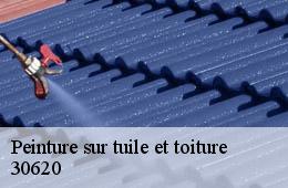 Peinture sur tuile et toiture  bernis-30620 Couvreurs gardois
