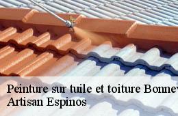 Peinture sur tuile et toiture  bonnevaux-30450 Artisan Espinos