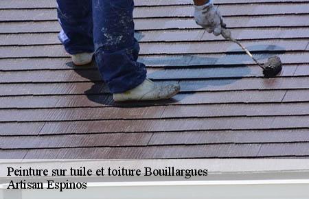 Peinture sur tuile et toiture  bouillargues-30230 Artisan Espinos