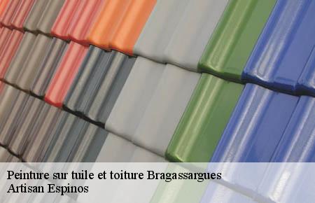 Peinture sur tuile et toiture  bragassargues-30260 Artisan Espinos