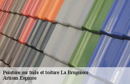 Peinture sur tuile et toiture  la-bruguiere-30580 Artisan Espinos