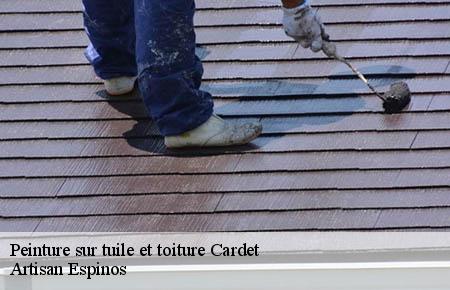 Peinture sur tuile et toiture  cardet-30350 Artisan Espinos