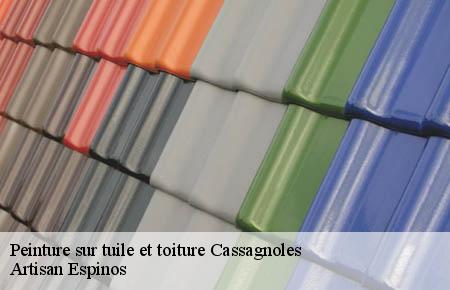 Peinture sur tuile et toiture  cassagnoles-30350 Artisan Espinos
