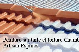 Peinture sur tuile et toiture  chambon-30450 Artisan Espinos