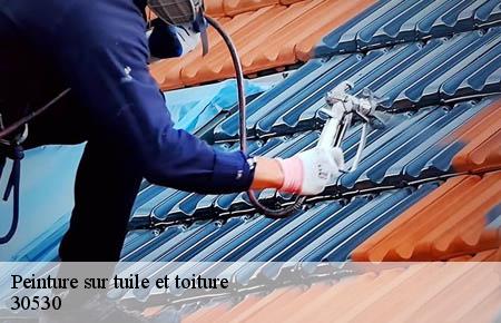 Peinture sur tuile et toiture  chamborigaud-30530 FJ Rénovation Couverture