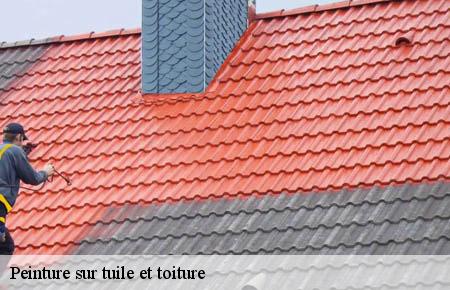 Peinture sur tuile et toiture  chamborigaud-30530 FJ Rénovation Couverture