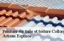 Peinture sur tuile et toiture  collorgues-30190 Artisan Espinos