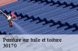 Peinture sur tuile et toiture  conqueyrac-30170 FJ Rénovation Couverture