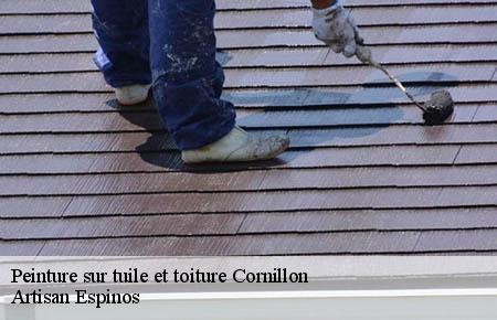 Peinture sur tuile et toiture  cornillon-30630 Artisan Espinos