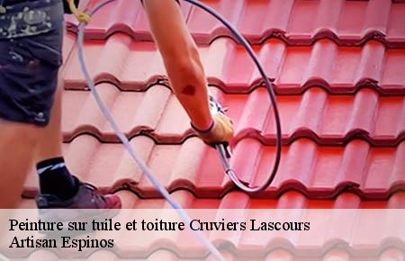 Peinture sur tuile et toiture  cruviers-lascours-30360 Couvreurs gardois