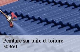 Peinture sur tuile et toiture  cruviers-lascours-30360 Couvreurs gardois